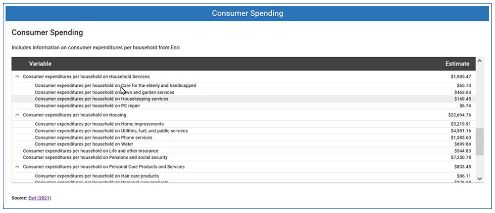 Screen shot of Census Business Builder Consumer Spending report