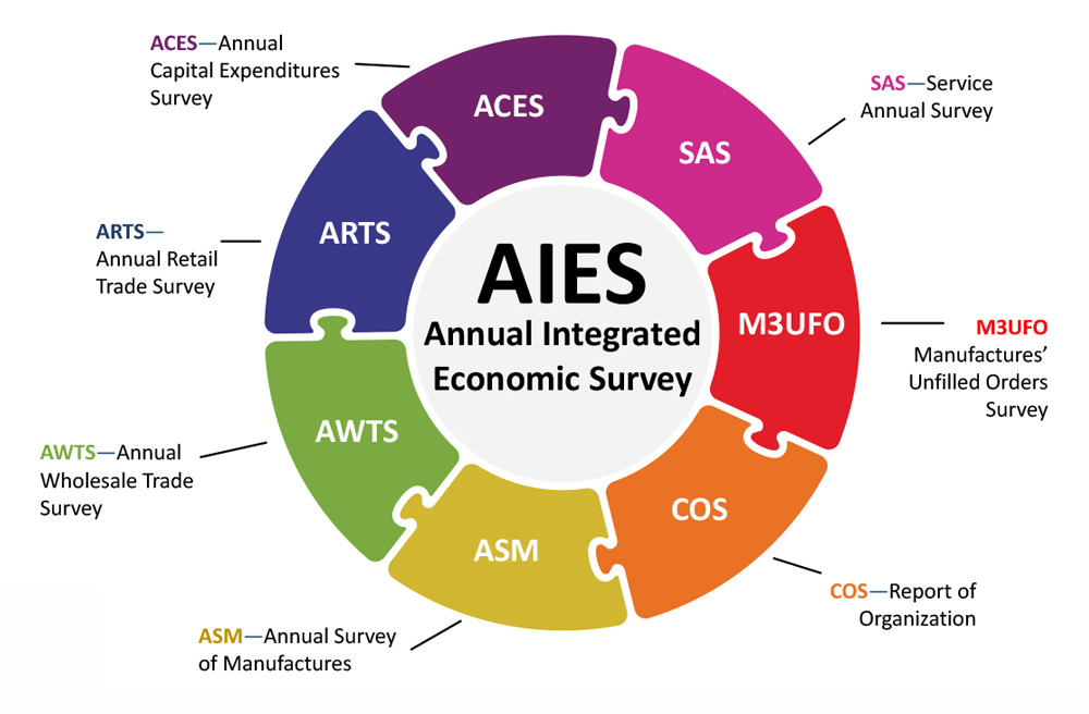 AIES: Annual Integrated Economic Survey