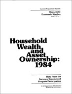 Household Wealth and Asset Ownership: 1984
