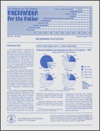 Factfinder for the Nation: Enterprise Statistics