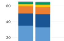 Hispanic origin and race distributions by age groups.