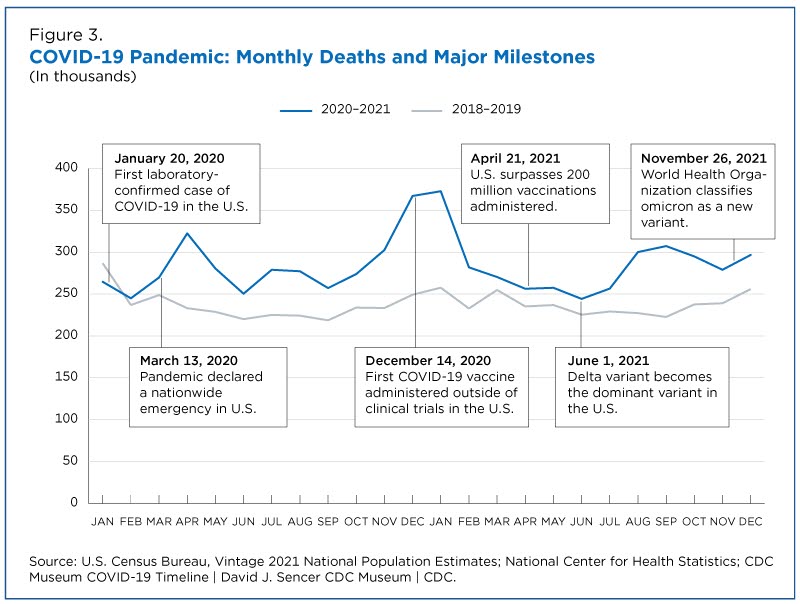 COVID-19 pandemic: monthly deaths and major milestones