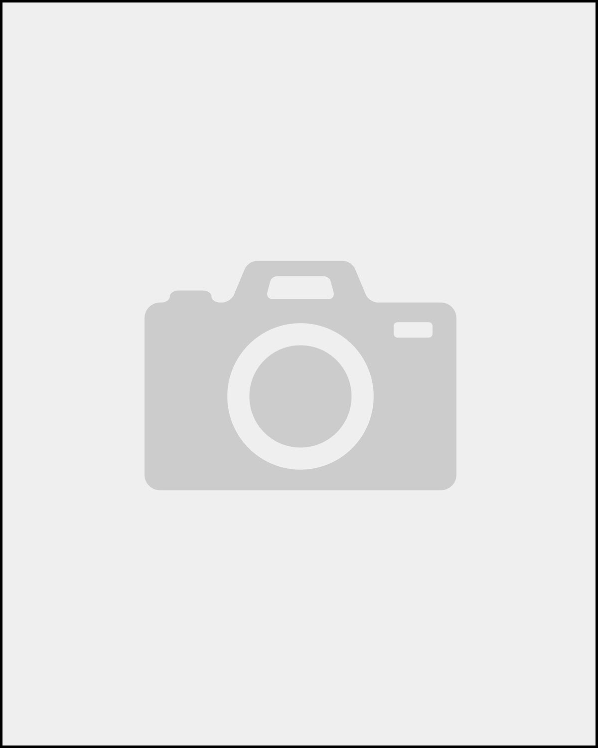 Chief, Office of Program, Performance and Stakeholder Integration
