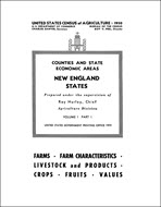 Report cover