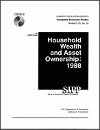 Household Wealth and Asset Ownership: 1988