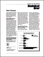 Statistical Brief: New Homes