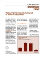 Statistical Brief: Measuring the Productivity Impact of Pollution Abatement