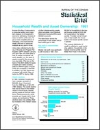 Statistical Brief: Household Wealth and Asset Ownership: 1991