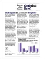 Statistical Brief: Participants in Assistance Programs