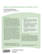 Small Area Health Insurance Estimates: 2015