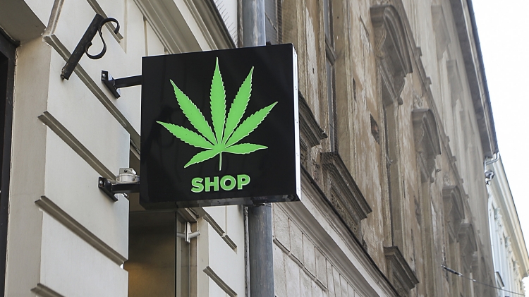 Cannabis Shop Sign
