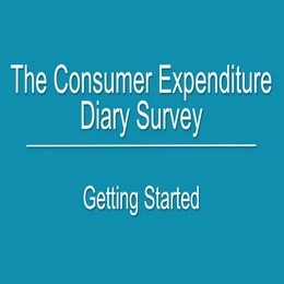 CE Individual Diary Survey