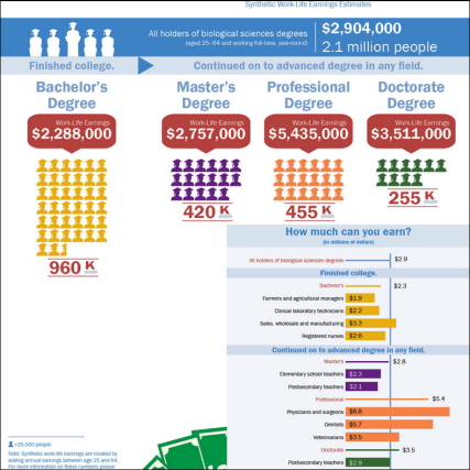 pathways after a bachelor s degree series