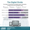 The Digital Divide - Percentage of Households by Broadband Internet Subscription, Computer Type, Race and Hispanic Origin