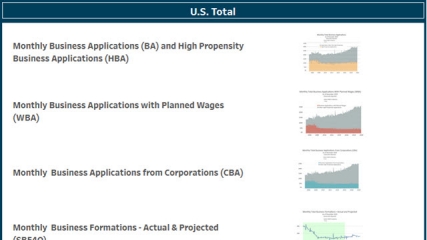 Business Formation Statistics