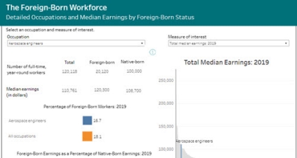The Foreign-Born Workforce