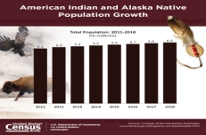 american-indian-alaska-native-graph-thumbnail