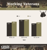 Working Veterans