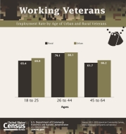 Working Veterans