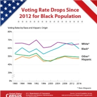 Voting Rates by Race and Hispanic Origin