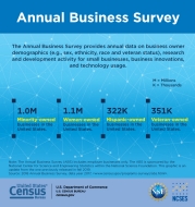 Annual Business Survey