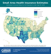 Small Area Health Insurance Estimates