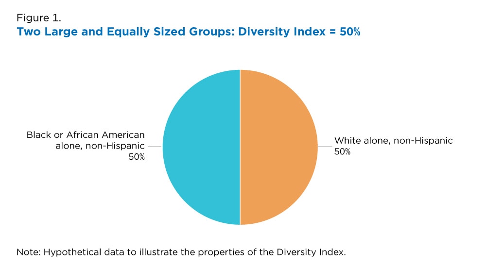 Measuring Racial and Ethnic Diversity for the 2020 Census