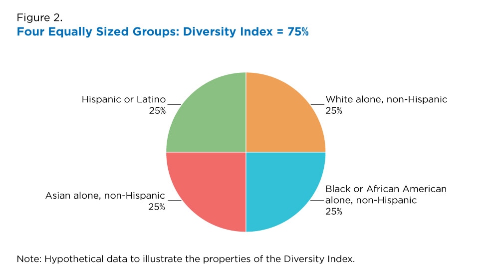 main ethnic groups in america