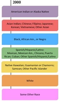 the different races of india