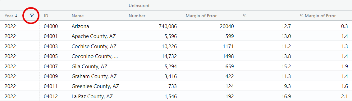 Table showing a filter icon on 'Year' column header