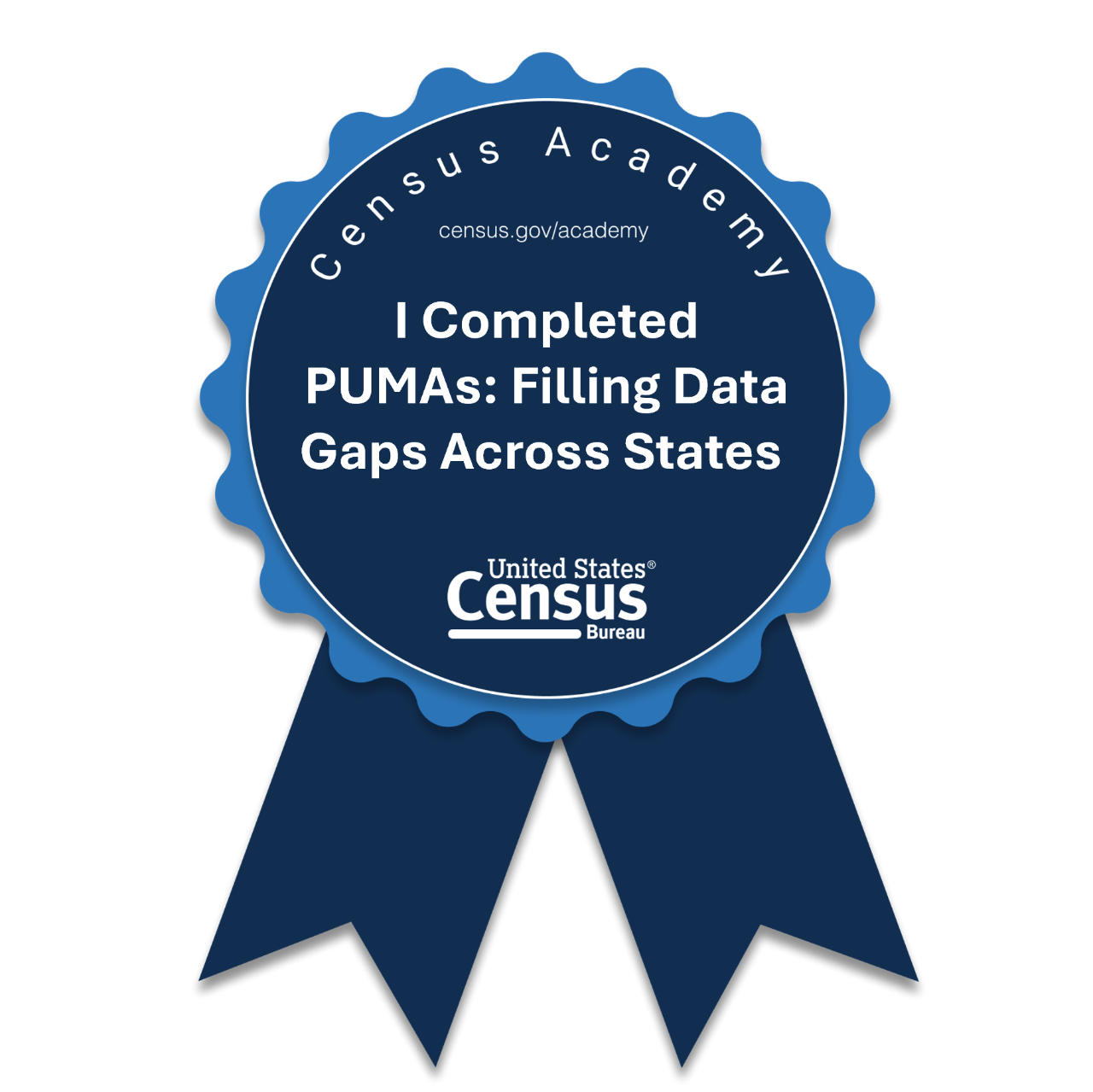 PUMAs: Filling Data Gaps Across States