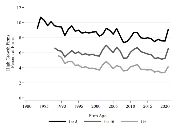 Figure 2. High-Growth Firms and Firm Age