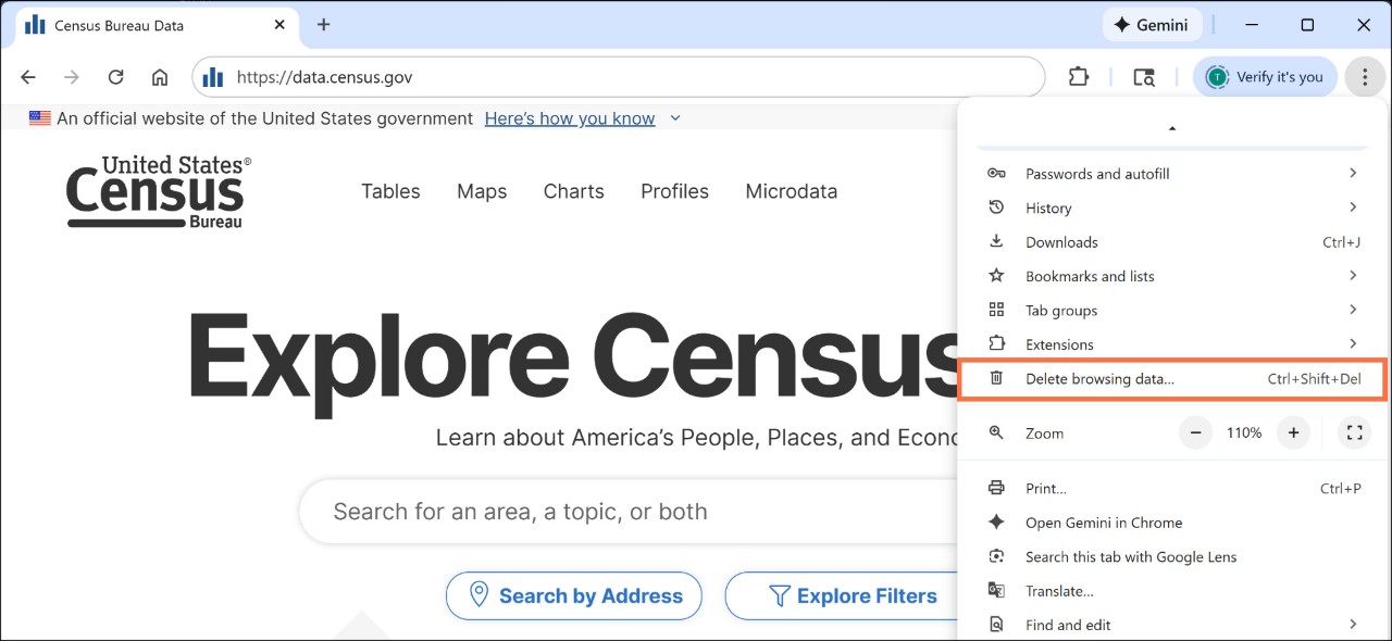 How do I clear the cache in Chrome? Image
