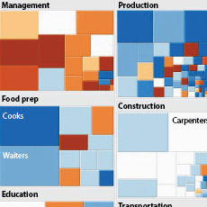 A thumbnail image icon for Shifting Occupational Shares by Sex: 2000 to 2006-2010