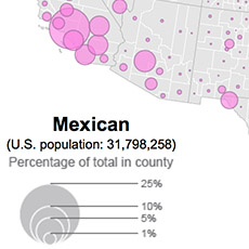 A thumbnail image icon for Distribution of Hispanic or Latino Population by Specific Origin: 2010