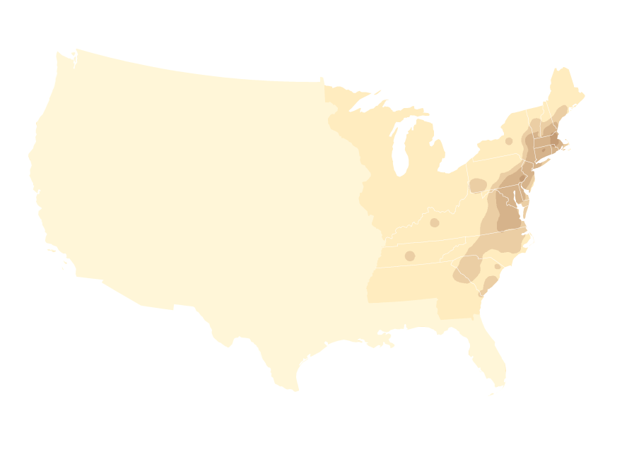 American Frontier Map