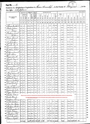 1870 Agriculture Schedule