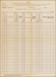 1880 census form