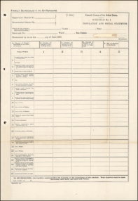 1890 census questionnaire