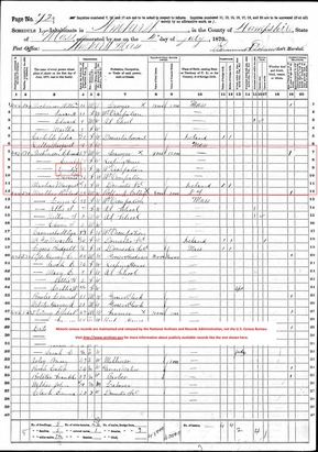 Emily Dickinson's 1870 Census Schedule