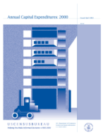 Annual Capital Expenditures: 2000