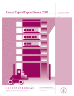 Annual Capital Expenditures: 2001
