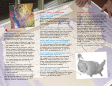 The 2010 Census Redistricting Data Program - Brochure