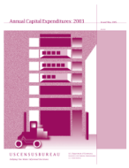 Annual Capital Expenditures:  2003