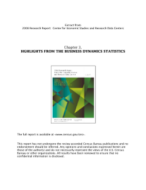 2008 Research Report: Center for Economic Studies and Research Data Centers
