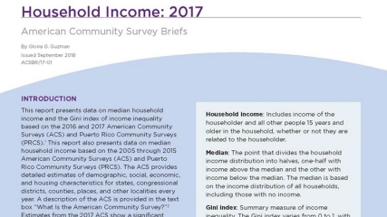 This report presents data on median household income and the Gini index of income inequality based on the 2016 and 2017 American Community Surveys (ACS). 