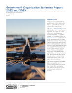 Government Organization Summary Report: 2022 and 2025