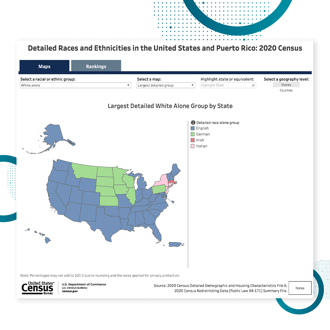 Animated GIF of a Data Visualization: Detailed Races and Ethnicities in the United States and Puerto Rico: 2020 Census