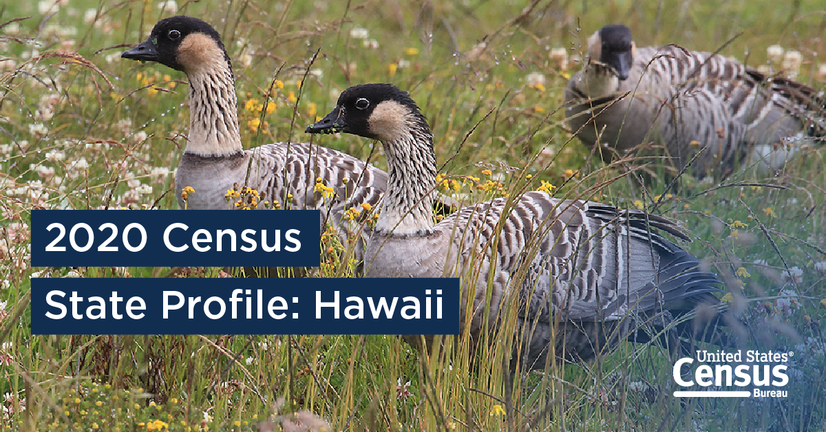 2020 Census State Profile: Hawaii