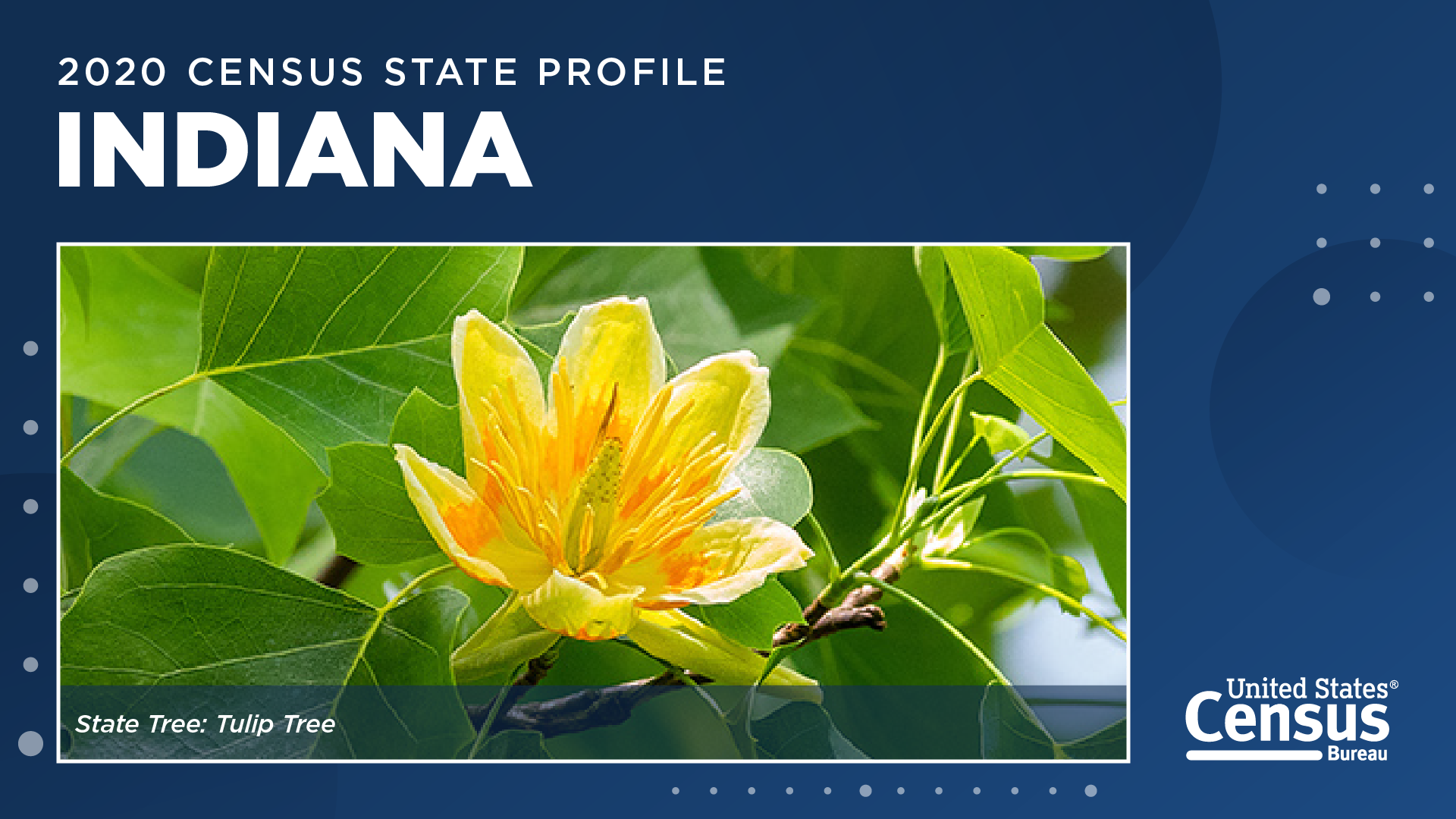 2020 Census State Profile: Indiana